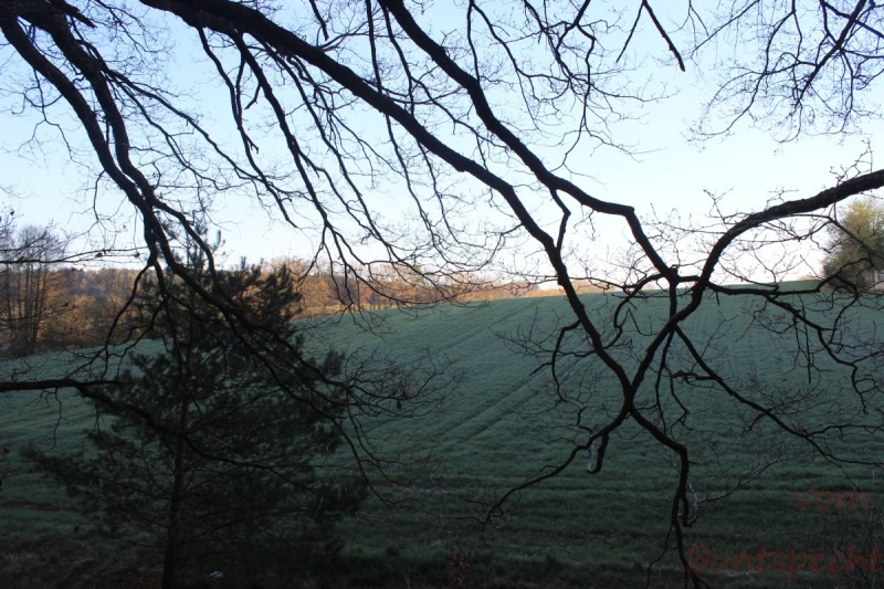 Bildla Nummära 014.jpg