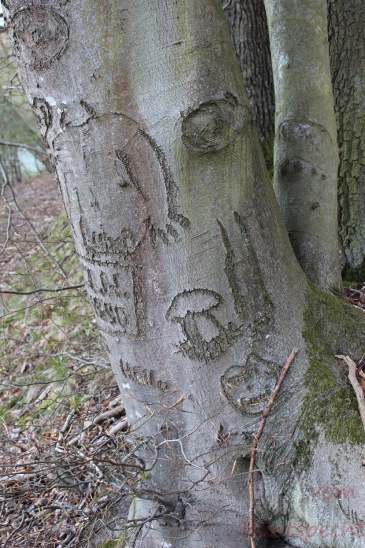 Bildla Nummära 015.jpg