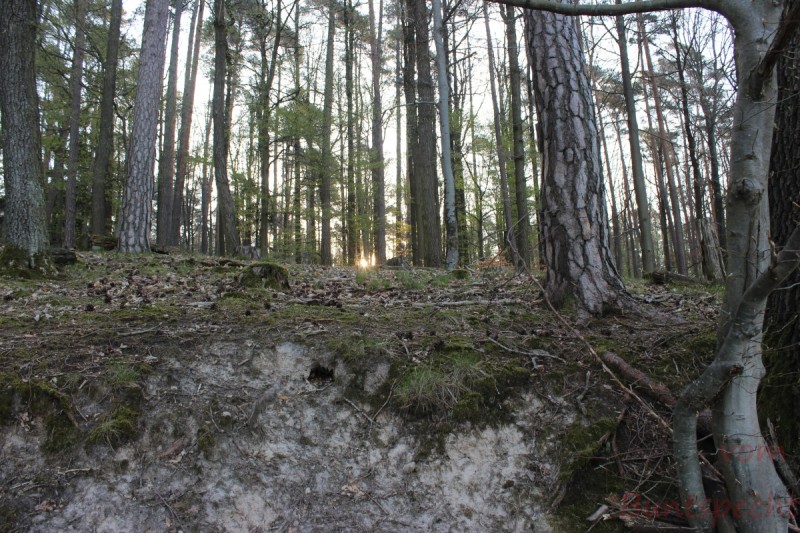 Bildla Nummära 016.jpg