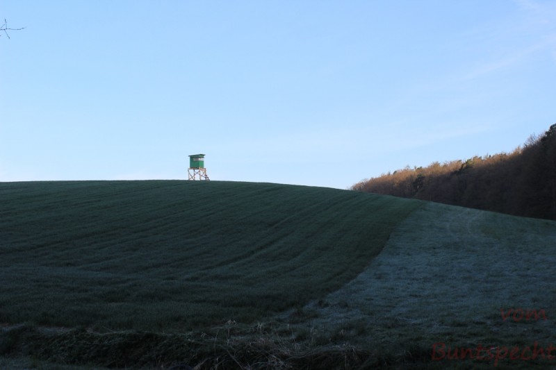 Bildla Nummära 018.jpg