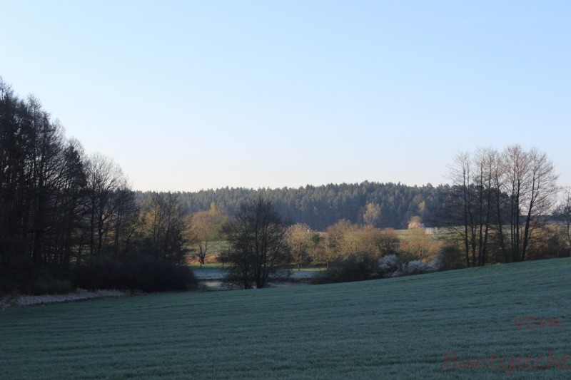 Bildla Nummära 020.jpg