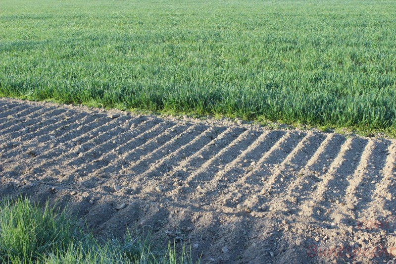 Bildla Nummära 021.jpg