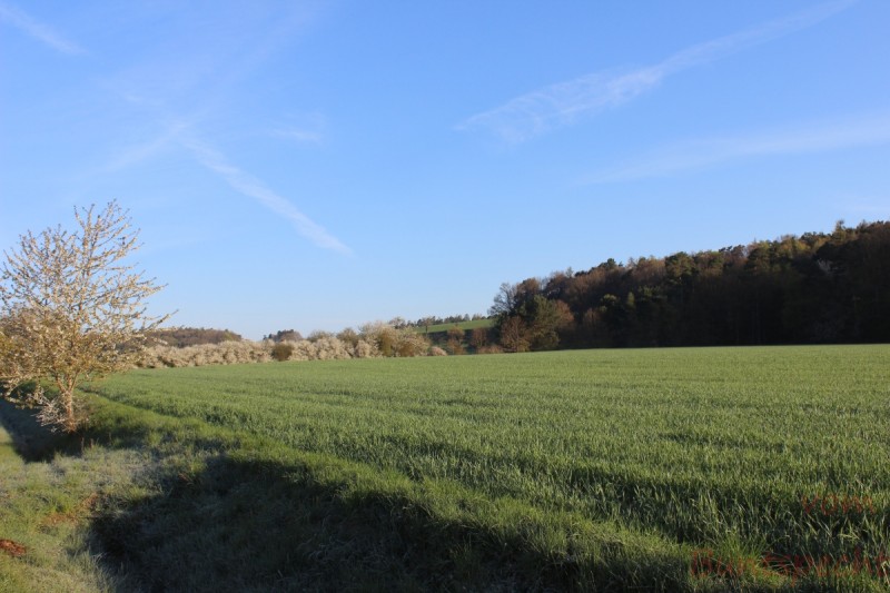 Bildla Nummära 023.jpg