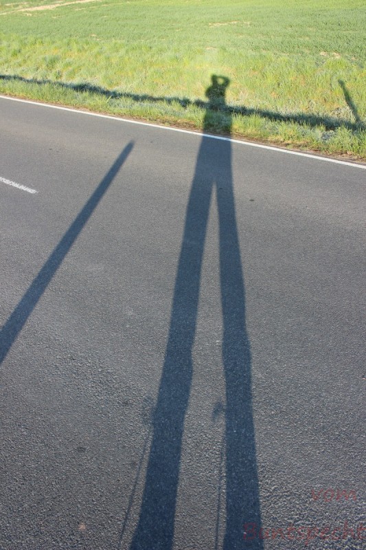 Bildla Nummära 026.jpg