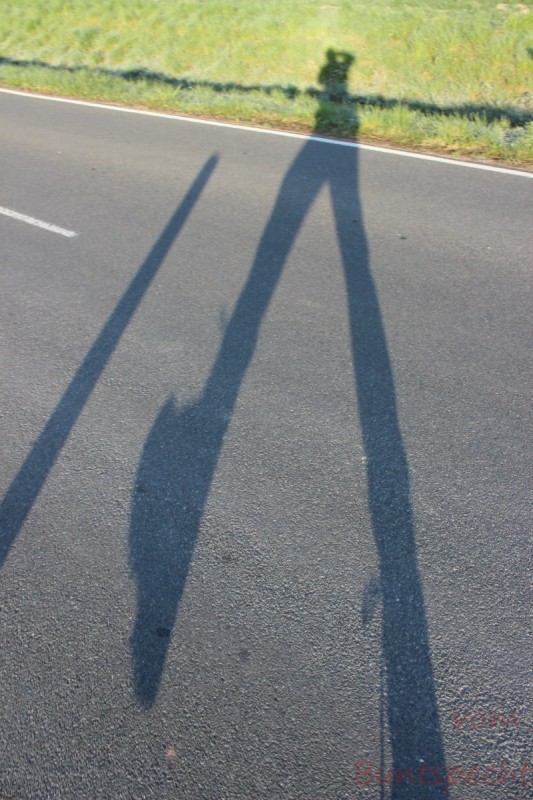 Bildla Nummära 027.jpg