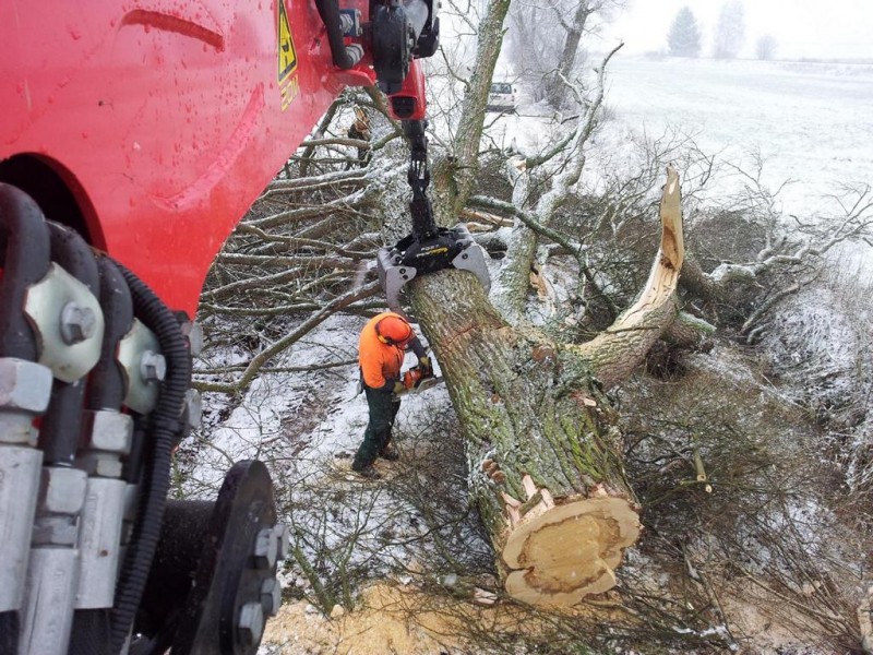 K1024_K1600_2015-01-20 10.57.37.JPG