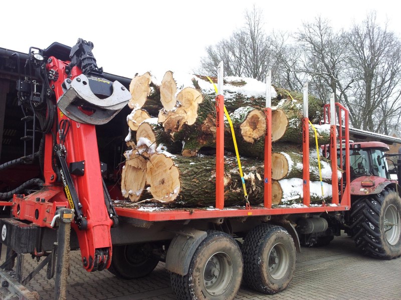 K1600_2015-02-04 12.06.16.JPG