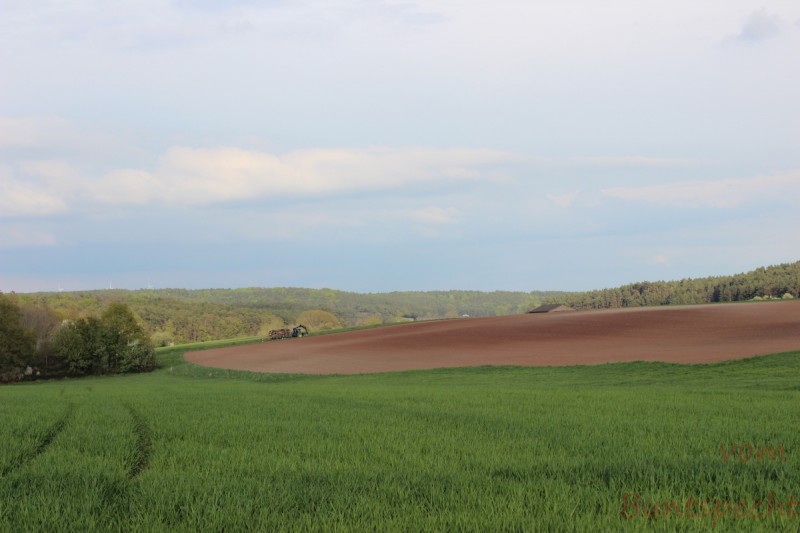 Bildla Nummära 003.jpg