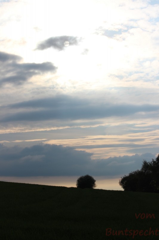 Bildla Nummära 007.jpg