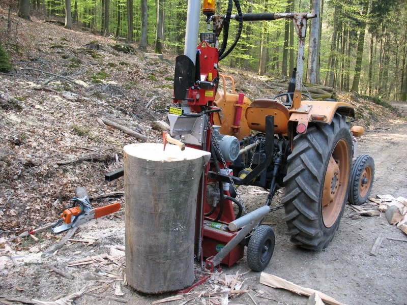 Vogesenblitz mit Stammheber k.jpg