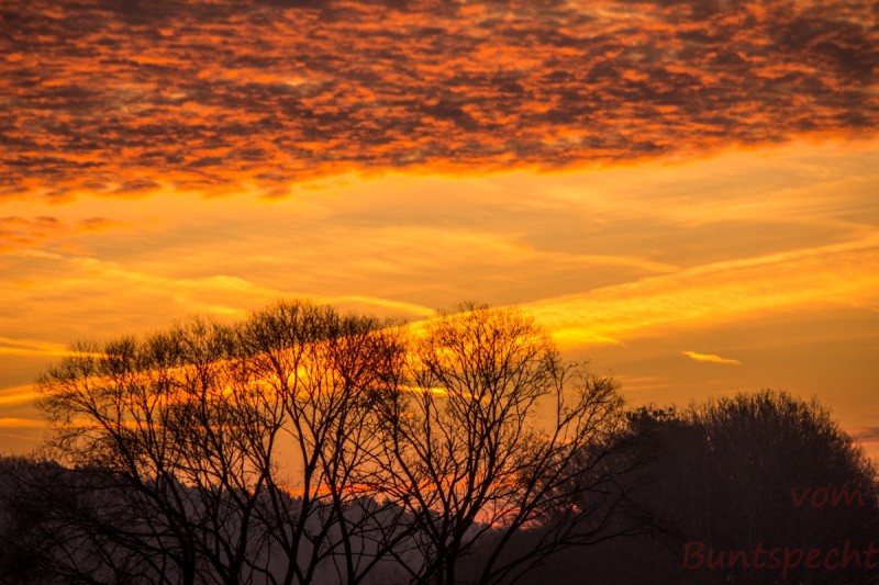 Bildla Nummära 001.jpg