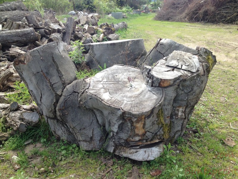 Bildla Nummära 001.jpg