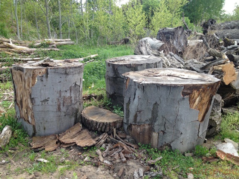 Bildla Nummära 002.jpg