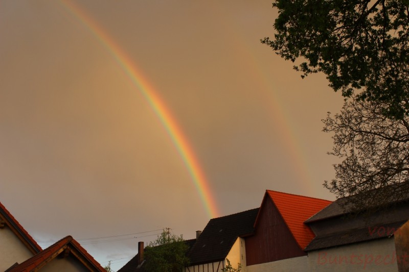 Bildla Nummära 001.jpg