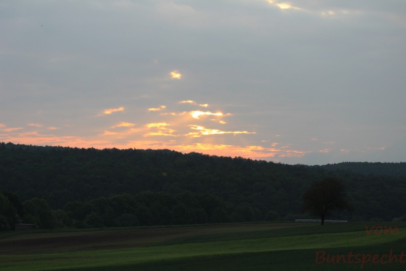 Bildla Nummära 003.jpg