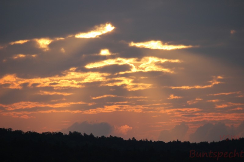 Bildla Nummära 004.jpg