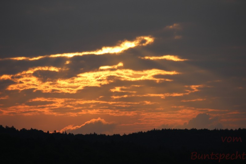 Bildla Nummära 005.jpg