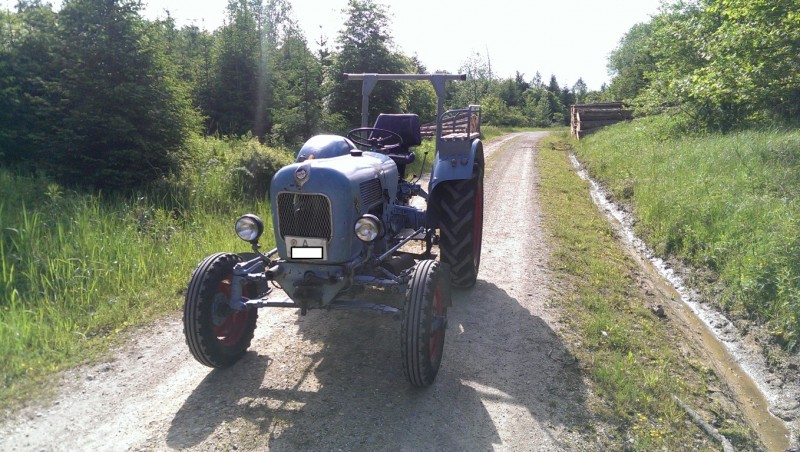 EichervorTüv_1 (Medium).jpg