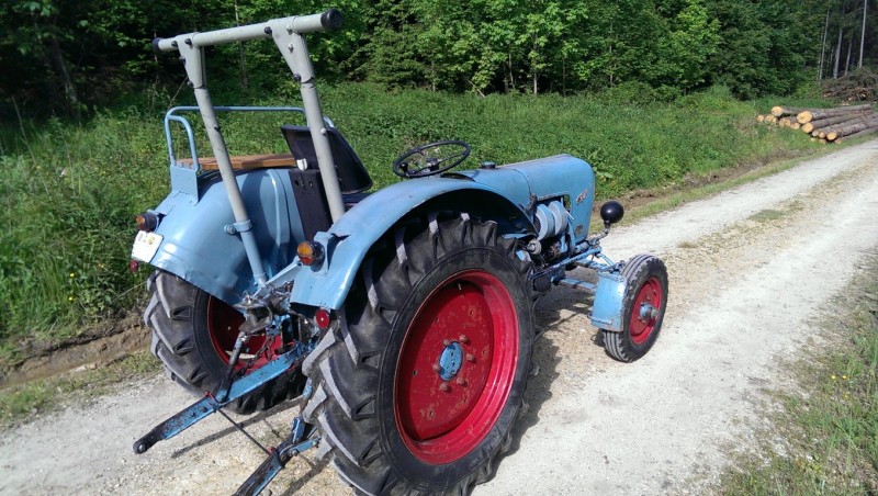 EichervorTüv_2 (Medium).jpg