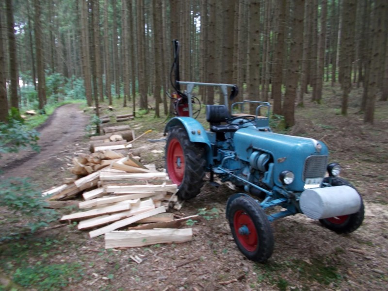 Eicher_Spalter_1 (Medium).JPG