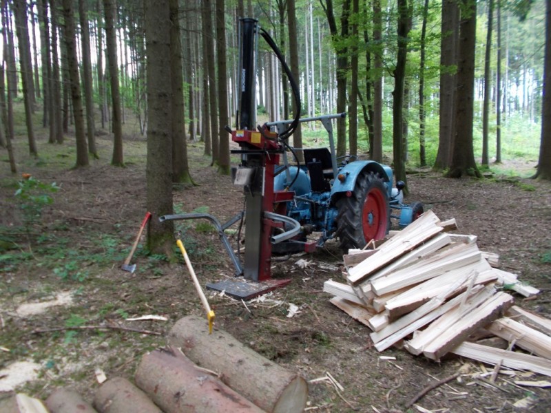 Eicher_Spalter_2 (Medium).JPG