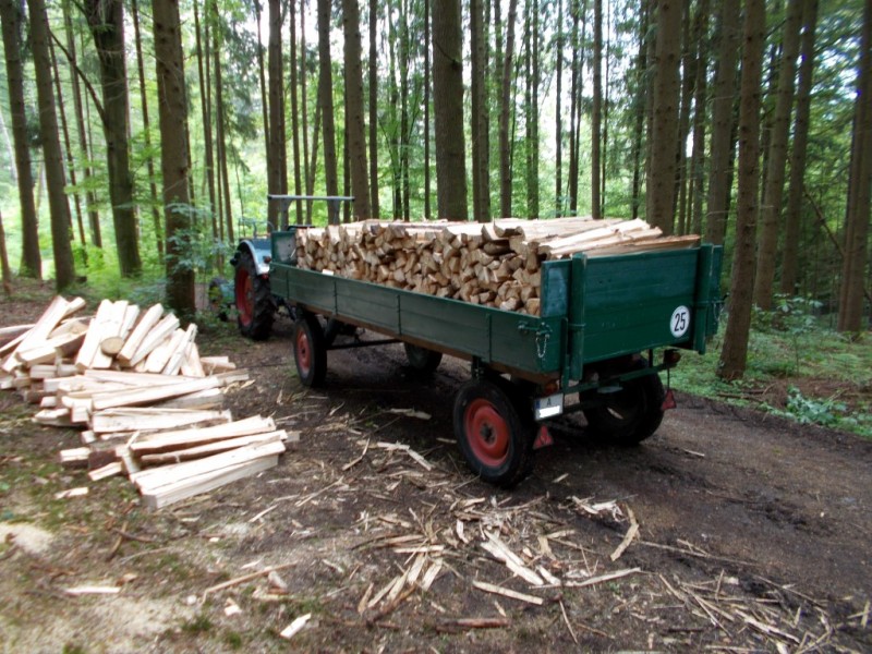 Eicher_Steib (Medium).JPG