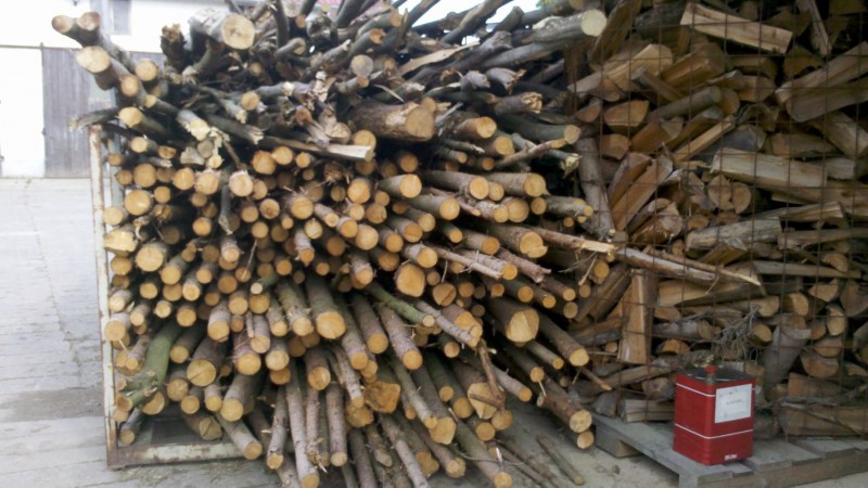 Waldarbeit 2015 14.jpg