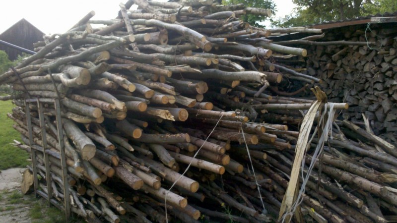 Waldarbeit 2015 17.jpg