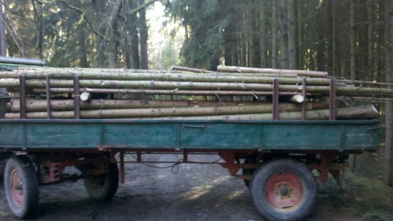 Waldarbeit 2015 3.jpg