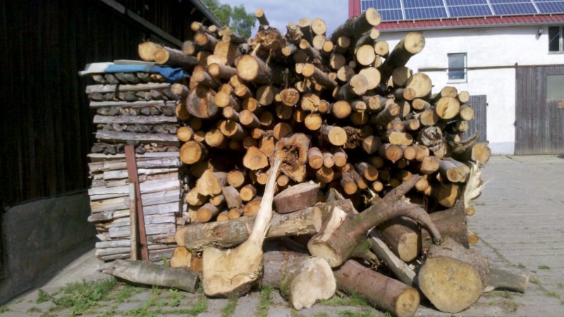 Waldarbeit 2015 11.jpg