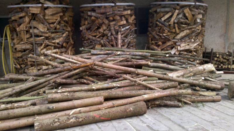 Waldarbeit 2015 15.jpg