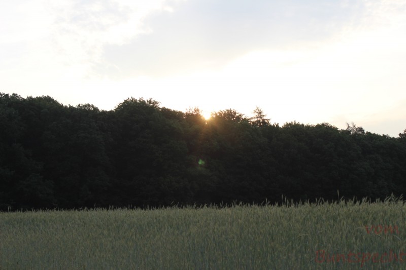 Bildla Nummära 001.jpg