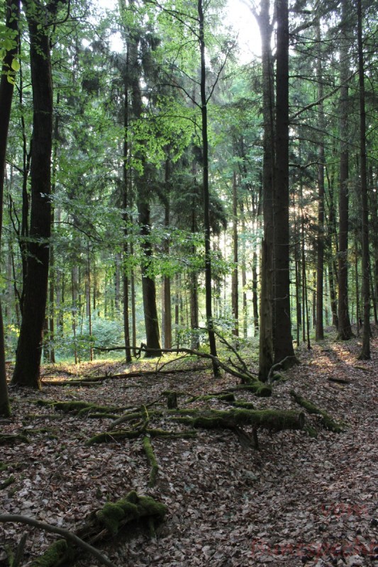 Bildla Nummära 002.jpg