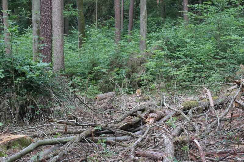 Bildla Nummära 005.jpg