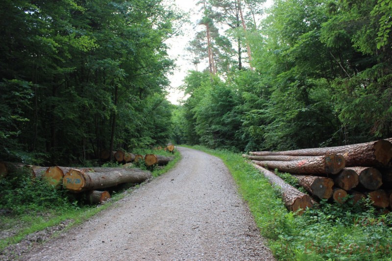 Bildla Nummära 007.jpg