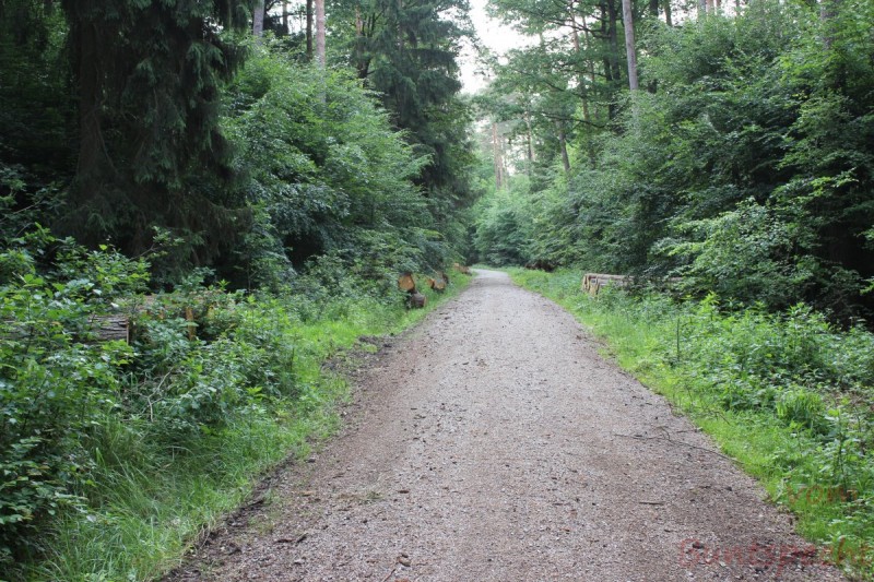 Bildla Nummära 008.jpg