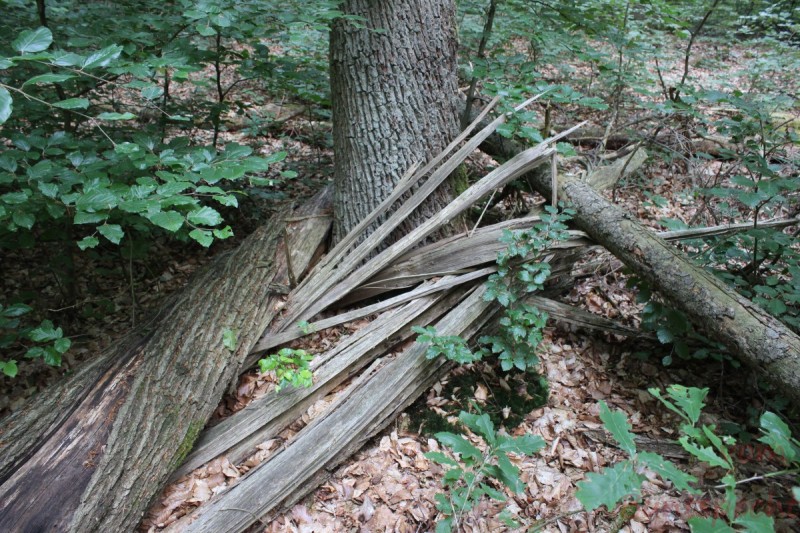 Bildla Nummära 010.jpg