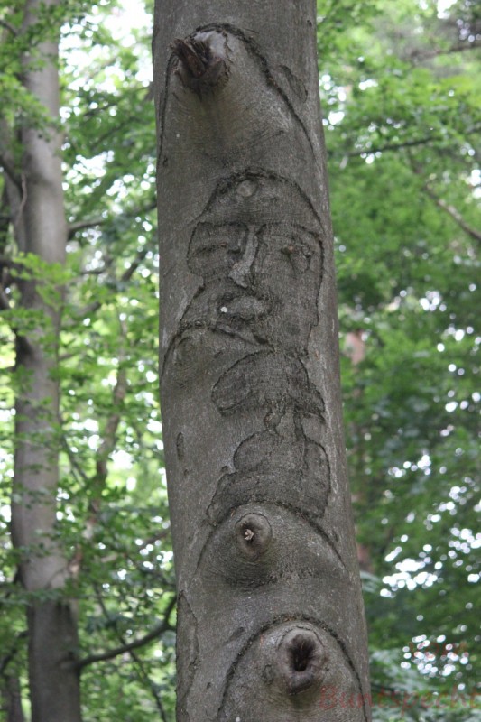 Bildla Nummära 011.jpg