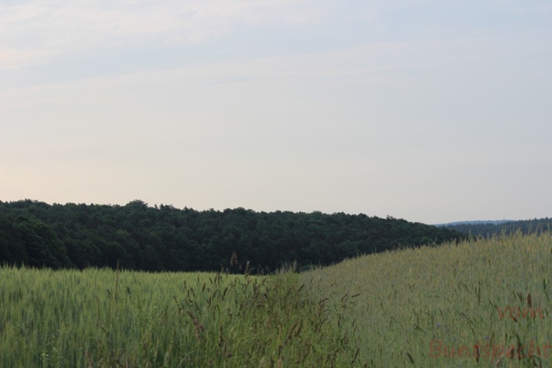 Bildla Nummära 012.jpg