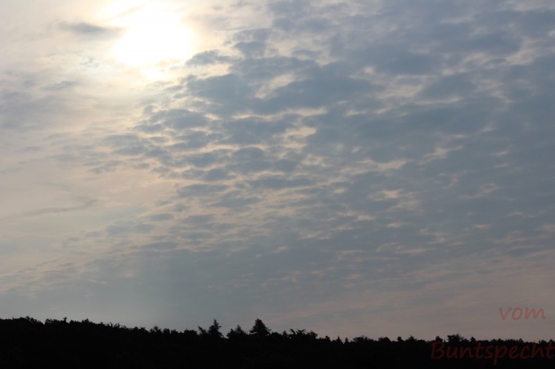 Bildla Nummära 013.jpg