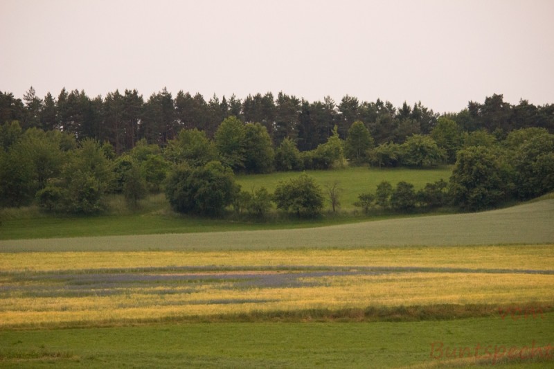 Bildla Nummära 001.jpg