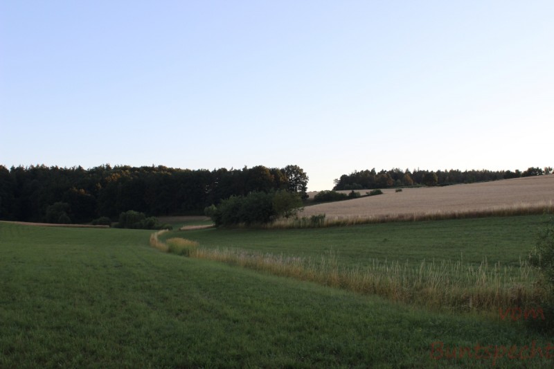 Bildla Nummära 002.jpg