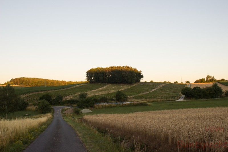 Bildla Nummära 004.jpg