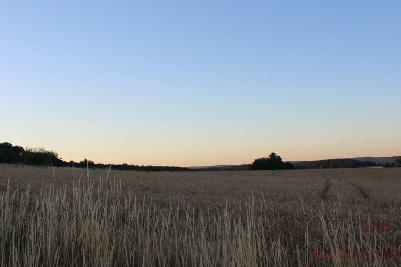 Bildla Nummära 005.jpg