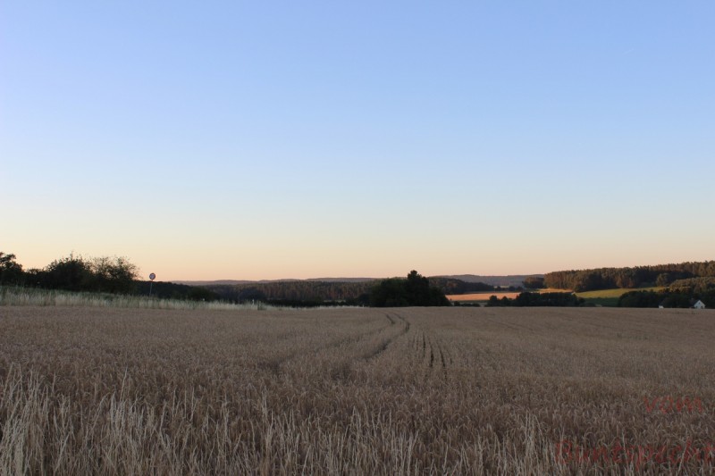 Bildla Nummära 006.jpg