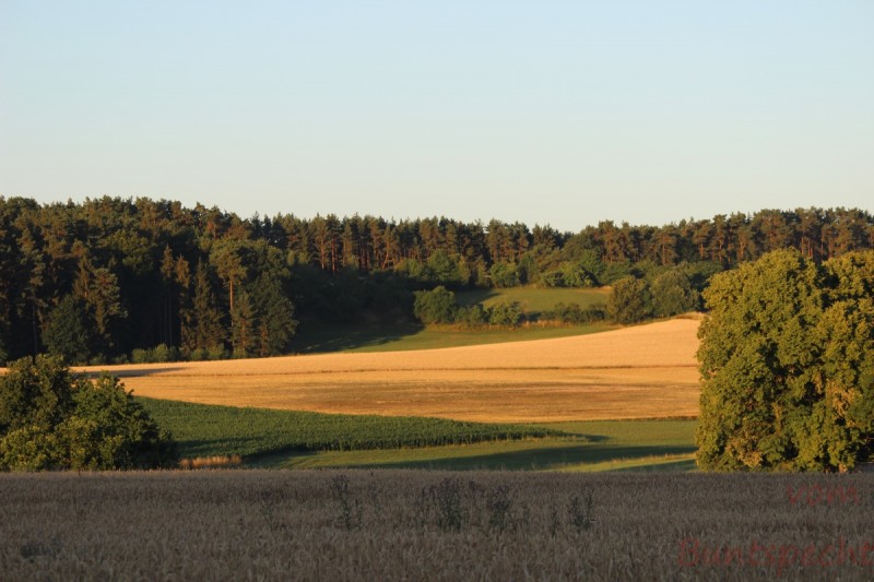 Bildla Nummära 007.jpg