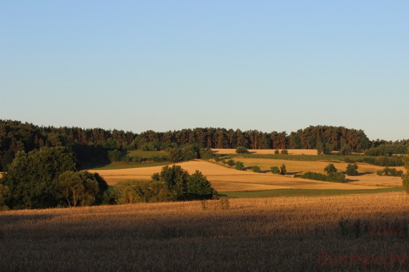 Bildla Nummära 008.jpg