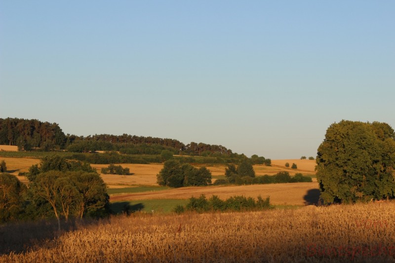 Bildla Nummära 009.jpg