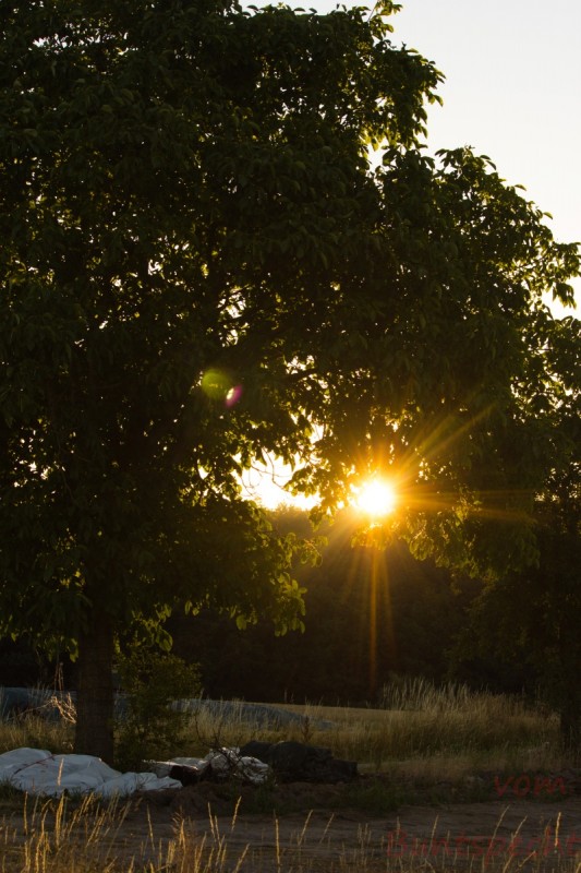 Bildla Nummära 010.jpg