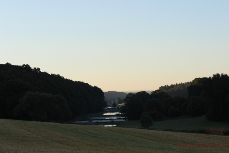 Bildla Nummära 011.jpg